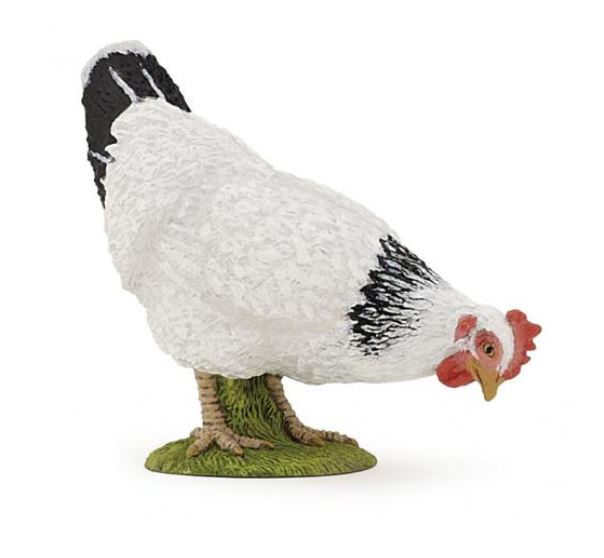44 Galinha Branca e Preta - Image 1