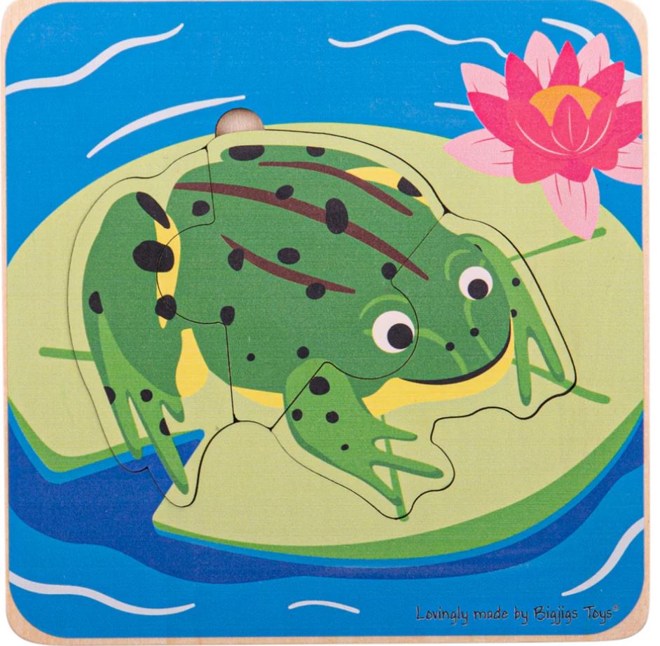 puzzle sapo Puzzle de camadas do ciclo de vida - Sapo - Image 1