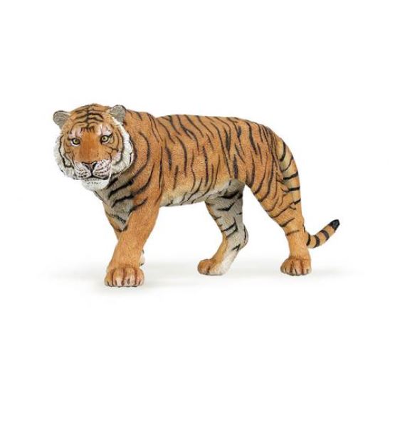 tigre Tigre - Image 1