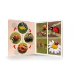 Os ciclos de vida - Image 2