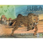 Juba, a Chita do deserto