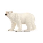 Urso Polar