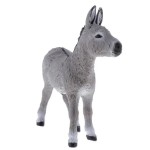 Burro