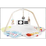 Lovevery PlayGym