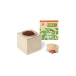 Grow your Garden - Feijão Mágico