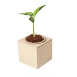 Grow your Garden - Manjericão - Image 2
