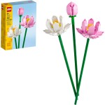 Botanicals - Flor-de-Lótus
